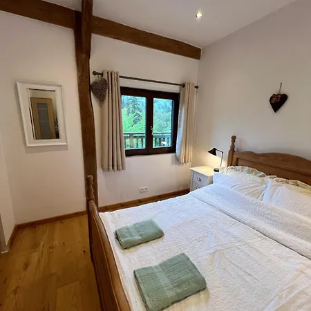 Chalet Apartment Saint-Jean-dʼAulps